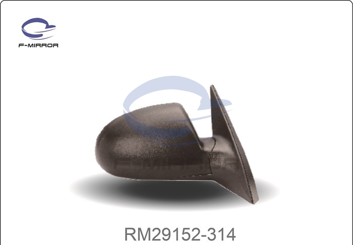 DOOR MIRROR