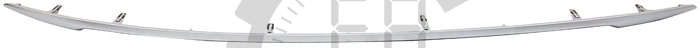 Rear Bumper Trim